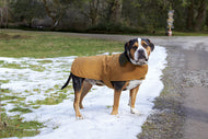Carhartt Dog Chore Coat with St. Anselm Logo