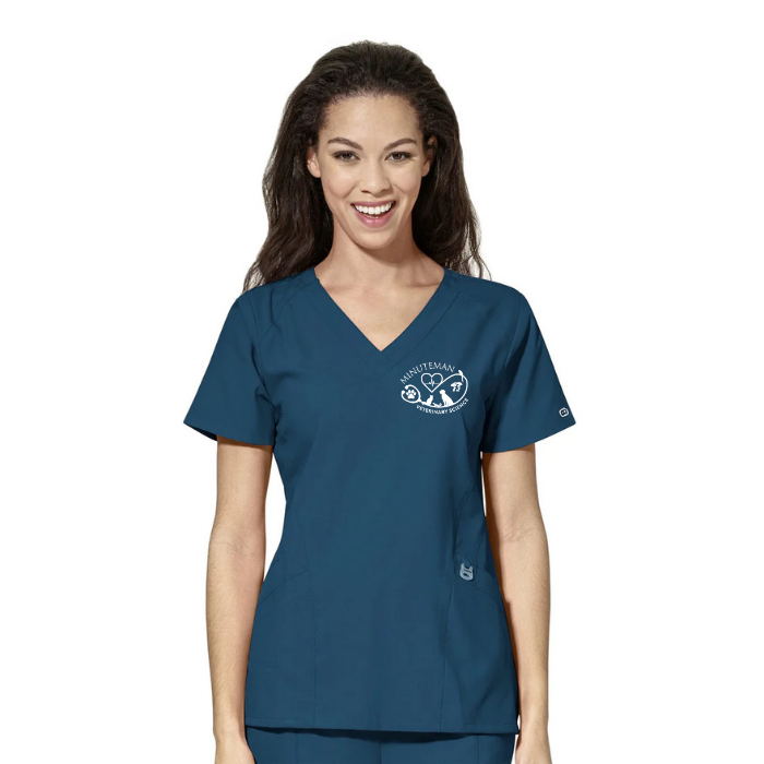 Minuteman Women's V Neck Shirt in Caribbean w/ Veterinary Science logo