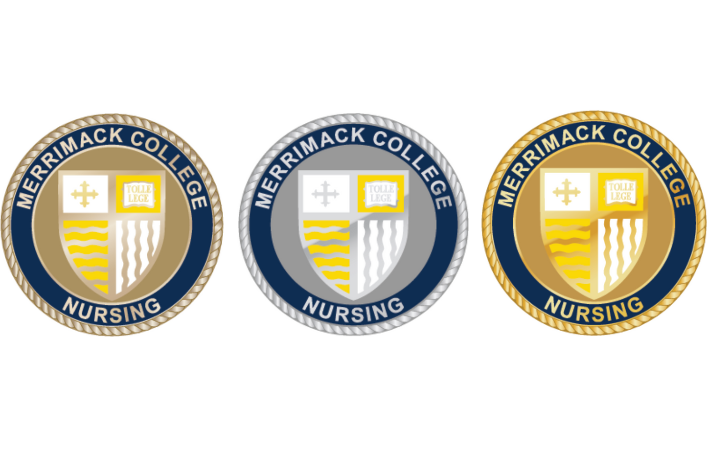 Merrimack College Nursing Graduation Pin