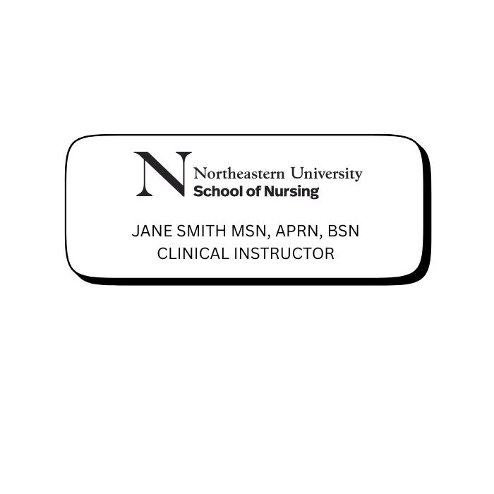 Faculty Name Pin - Northeastern