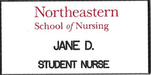 Load image into Gallery viewer, Name Pin - Northeastern
