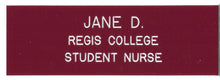 Load image into Gallery viewer, Name Pin - Regis Nursing
